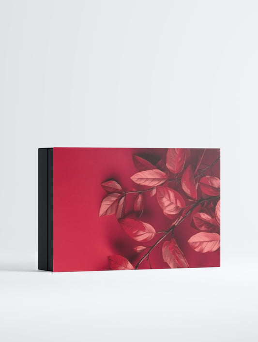 Caja de colección de sueros Boost | Unnamed Cosmetics